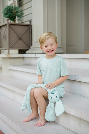 Pistachio Green Mini-Stripe Dog Lovey + Paci clip holder