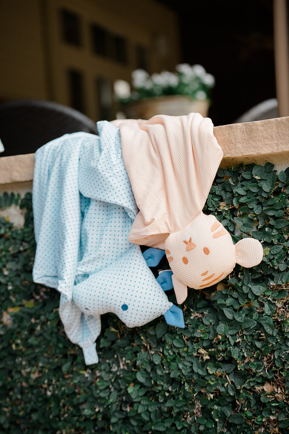 Mini-Stripe Tiger Lovey + Paci clip holder