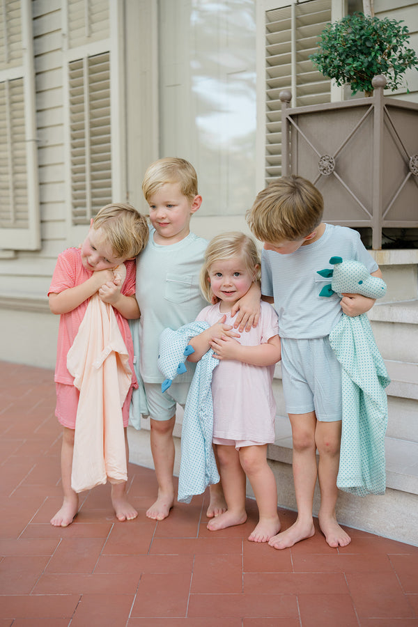 Mini-Stripe Tiger Lovey + Paci clip holder